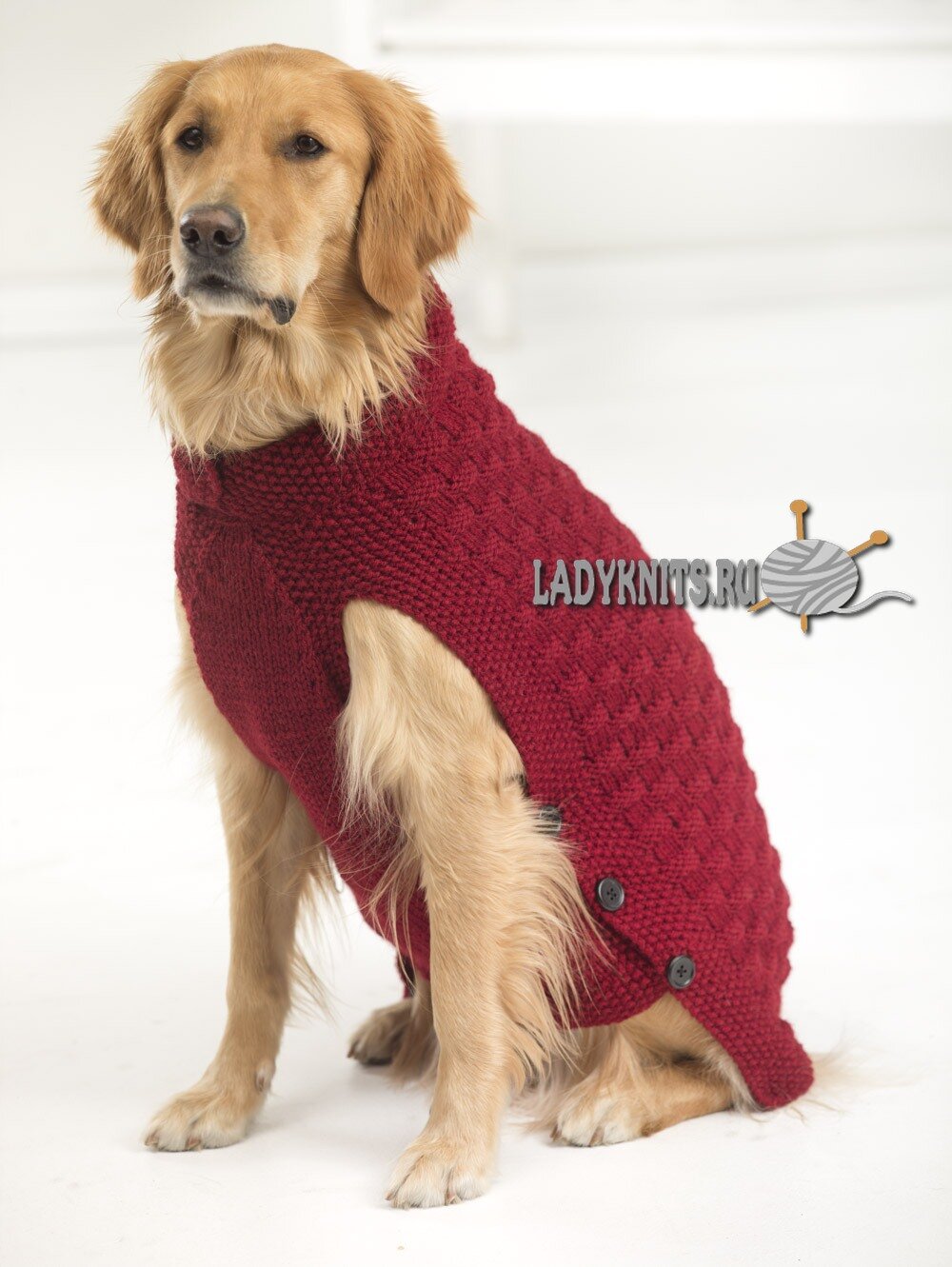 Вязание свитера &quot;Клиффорд&quot; для собак